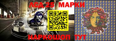 гидропоника Донской