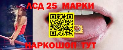 гидропоника Донской