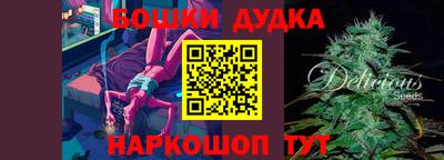 соль ск Дубна