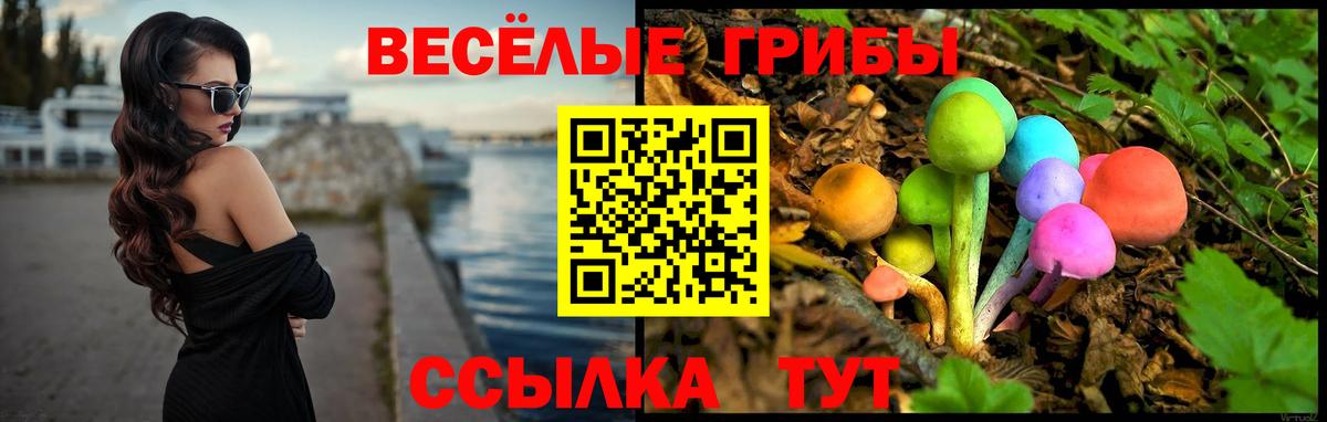 Галлюциногенные грибы мухоморы Михайловка