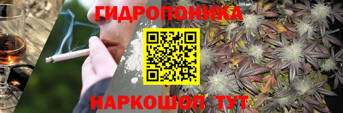 Бошки Шишки VHQ Михайловка
